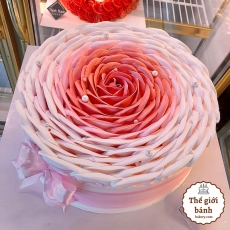 BÁNH KEM SINH NHẬT TẠO HÌNH HOA MÀU HỒNG ĐỎ